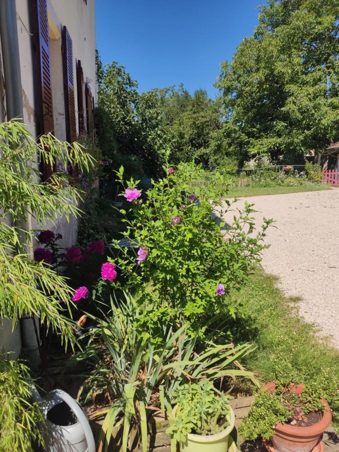 Gite Chanay 80 M2 Tournus 2 Chambres Buitenkant foto