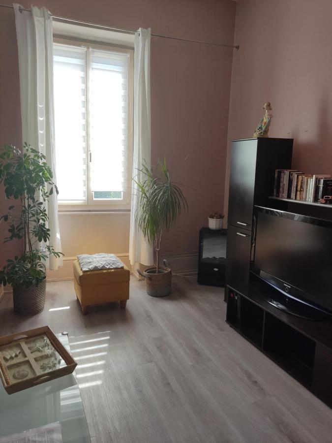 Gite Chanay 80 M2 Tournus 2 Chambres Buitenkant foto